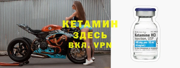 крисы Алексин