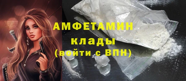ГАЛЛЮЦИНОГЕННЫЕ ГРИБЫ Гусь-Хрустальный